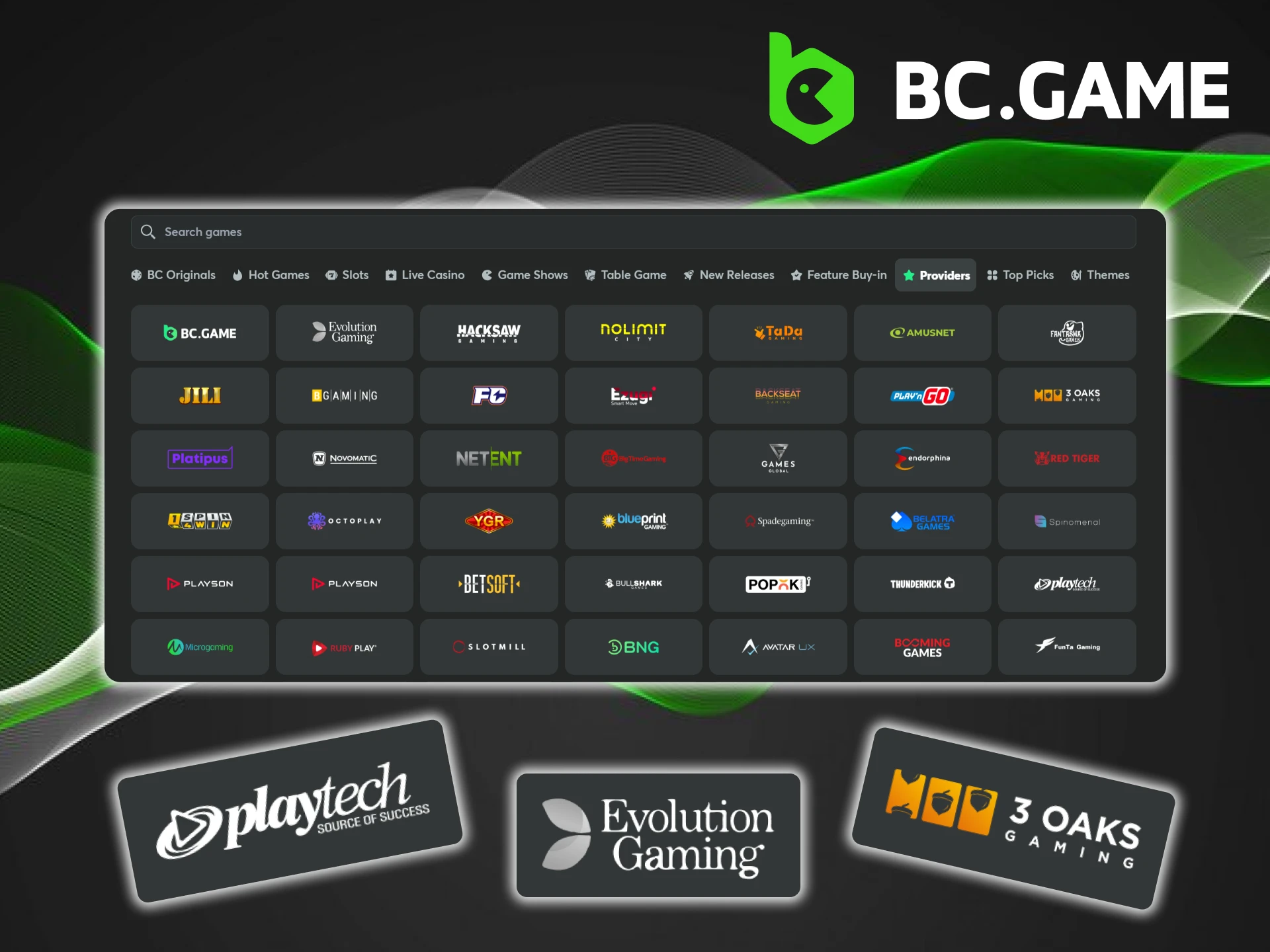 Check out the list of game providers at BC Game.