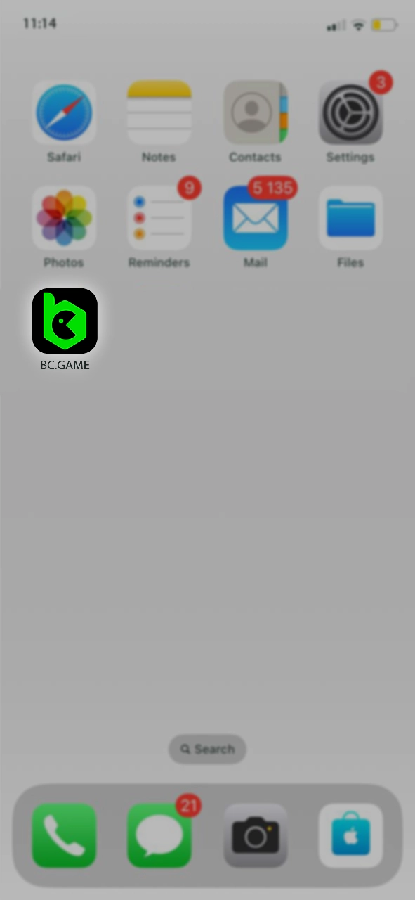 Showing you the fifth step to download BC Game on iOS, giving you access to exclusive casino games and betting options after downloading and registering.